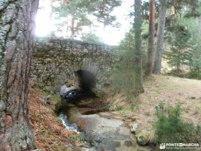 Hiking Calzada Romana de Cercedilla; cuevas del aguila cebreros rio alberche las tablas de daimiel